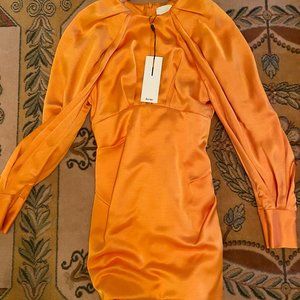 NWT Acler Paringa Blouson Sleeve Dress